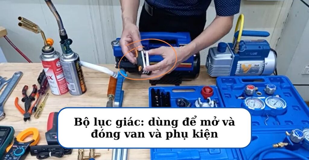 Bộ lục giác