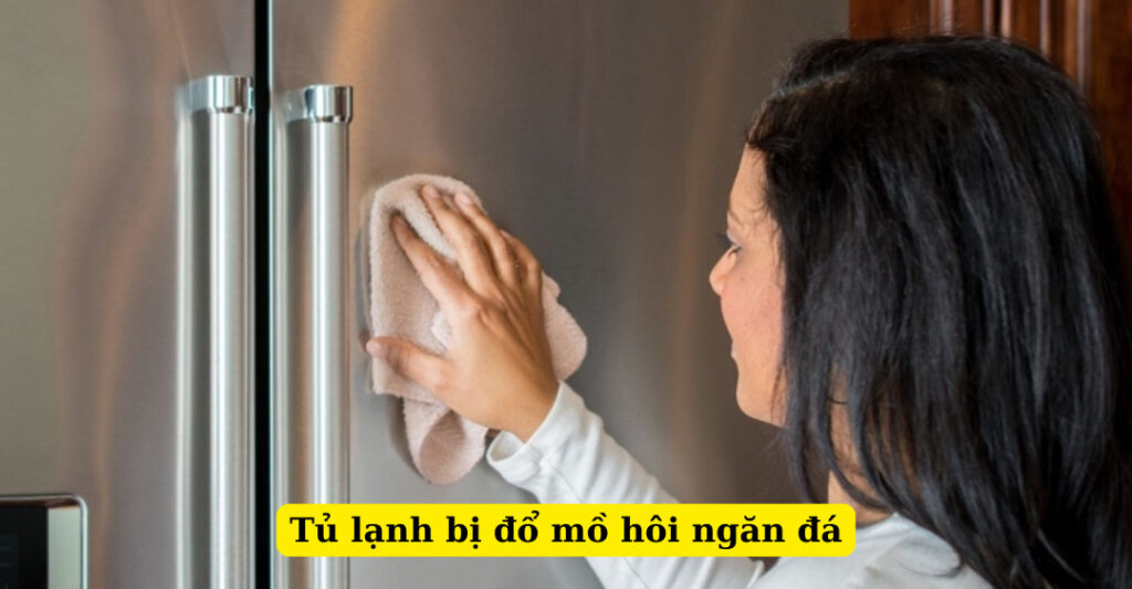 tủ lạnh bị đổ mồ hôi ngăn đá